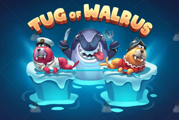 Tug of Walrus