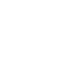 vector